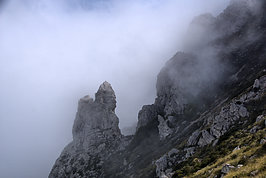 DSC06001 -1_t.jpg
